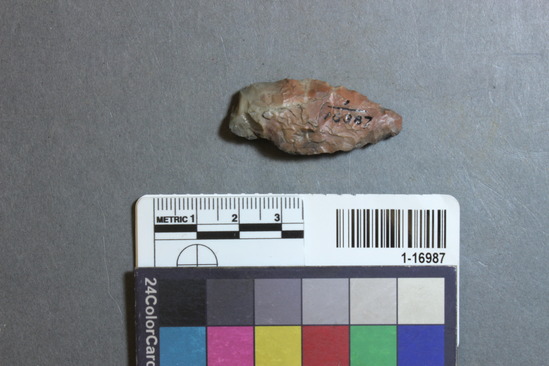 Hearst Museum object 20 of 28 titled Points, accession number 1-16987, described as Chipped points of flint, chert, etc.