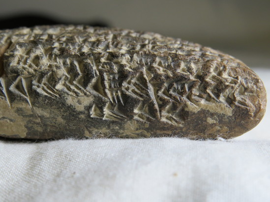 Hearst Museum object 26 of 187 titled Cuneiform tablet, accession number 9-2919, described as Mesopotamian cuneiform tablet