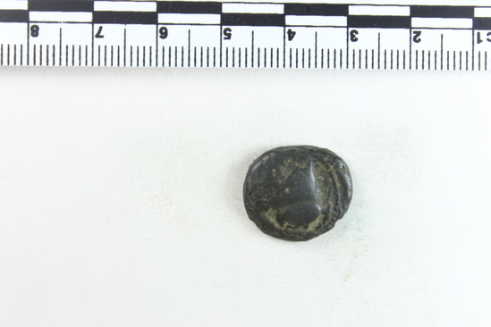 Hearst Museum object 5 of 8 titled Coin: æ, accession number 8-4835, described as Coin; AE; Roman. 4.3509 grams, 17.9 mm. Campania, Italy. Obverse: Head of Athena Pallas (Latin: Minerva) l. helmeted. Reverse: Head and shoulders of bridled horse r.; in field, ROMANO. Remarks: "condition, fair.
