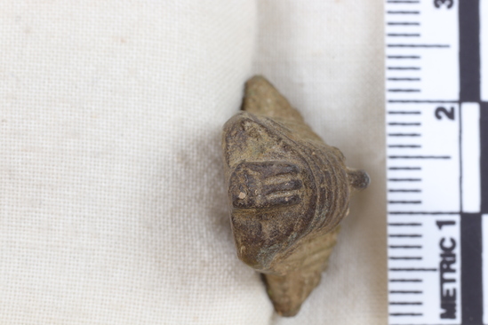 Hearst Museum object 9 of 11 titled Amulet, accession number 5-13917, described as Amulet: anthropomorphic with beadwork collar, long straight hair, bulging eyes, and ears high on head. No holes for stringing amulet. Maybe a fake. Fingerprint on back. Height 2.7 cm.