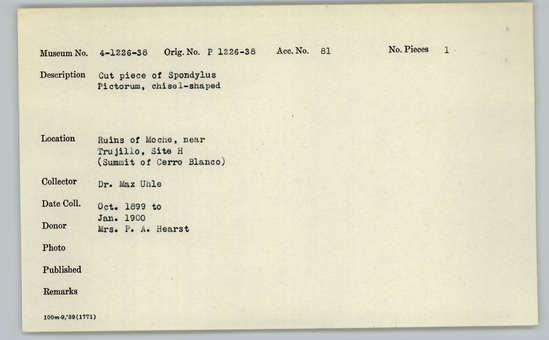 Documentation associated with Hearst Museum object titled Worked shell, accession number 4-1234, described as Cut piece of Spondylus pictorum, chisel-shaped.