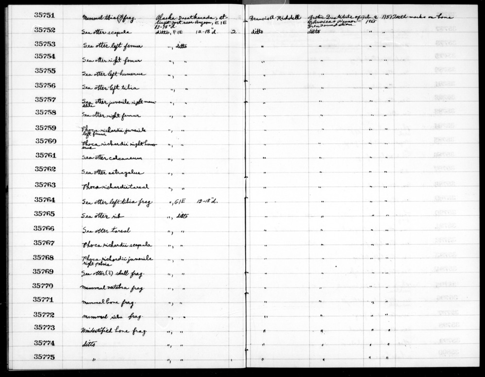 Documentation associated with Hearst Museum object titled Mammal bone, accession number 2-35771, described as Mammal bone fragment.