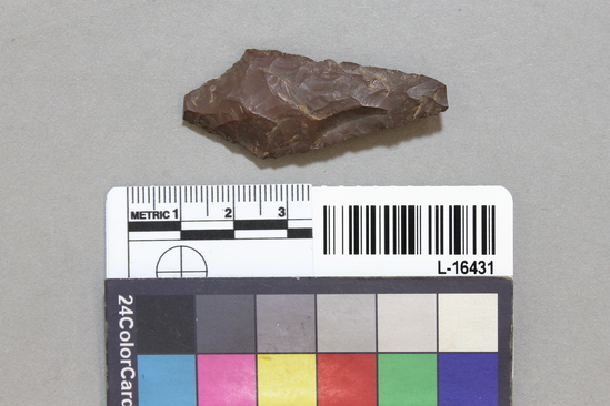 Hearst Museum object titled Projectile point, accession number L-16431, described as Projectile point of chert