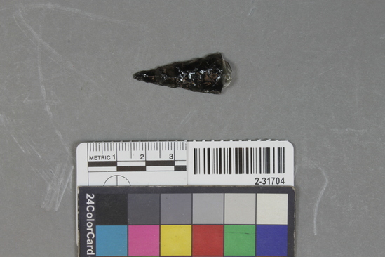 Hearst Museum object titled Point fragment, accession number 2-31704, described as Obsidian.