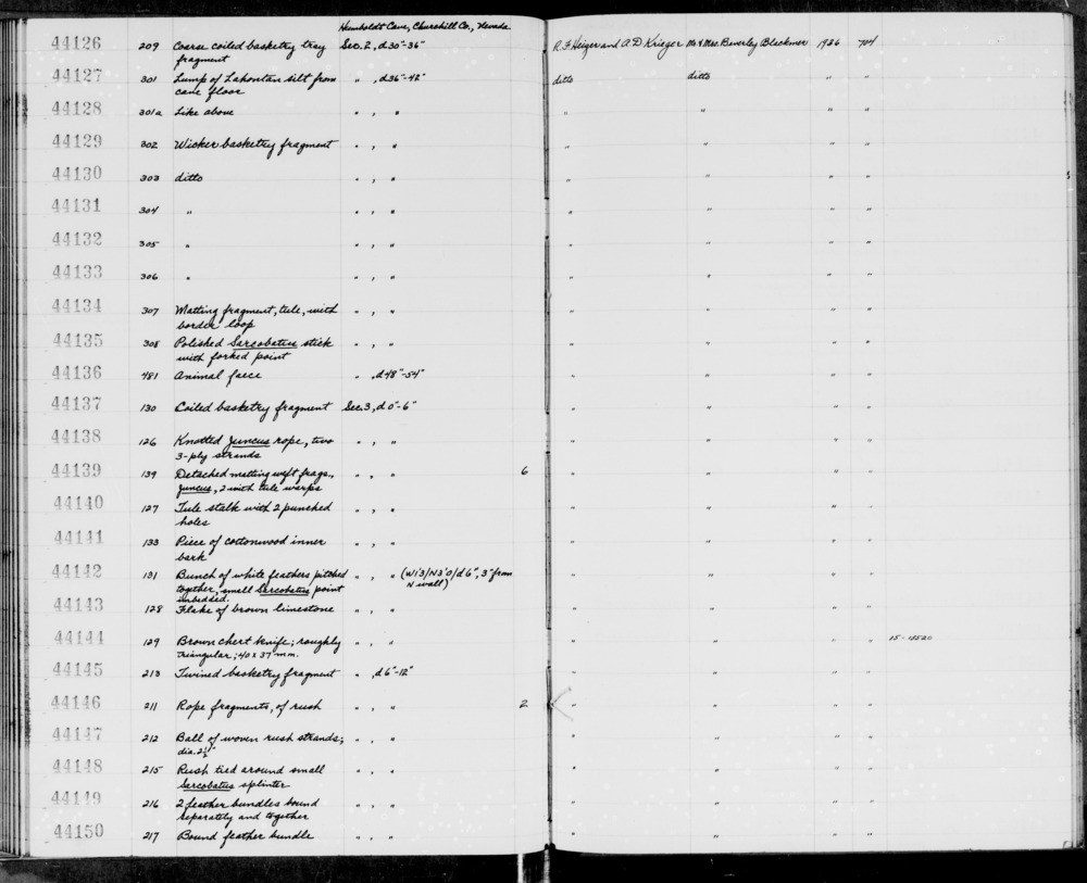 Documentation associated with Hearst Museum object titled Bark, accession number 1-44141, described as Piece of cottonwood inner bark.