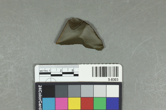 Hearst Museum object titled Flake, accession number 5-8303, described as Flake; irregular triangular outline; secondary flaking on thin edges; length 4.0 cm