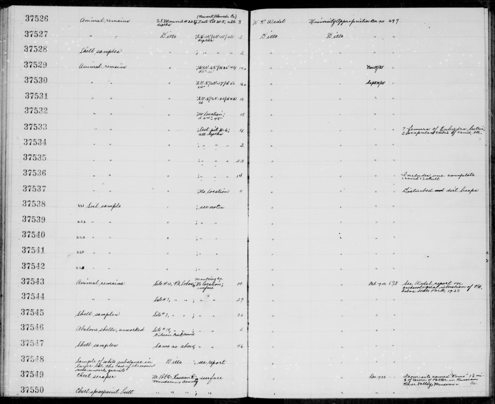 Documentation associated with Hearst Museum object titled Worked bone, accession number 1-37536.1, no description available.