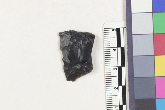 Hearst Museum object titled Flake fragment, accession number 16-14374, described as Projectile point fragment; obsidian; triangular; weight: 2.15 grams; length: 1.88 cm; width: 2.68 cm; depth: 0.4 cm.