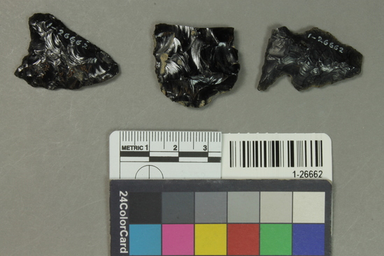 Hearst Museum object titled Points, accession number 1-26662, described as Two obsidian points and fragment of third