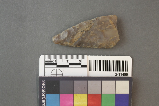 Hearst Museum object titled Arrowhead fragment, accession number 2-11499, described as Large, flint arrowhead fragment.