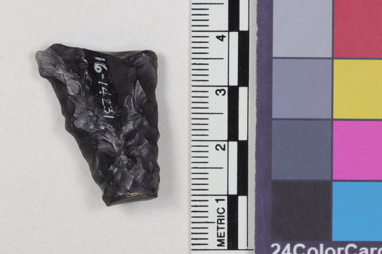 Hearst Museum object 2 of 2 titled Projectile point fragment, accession number 16-14231, described as Projectile point; obsidian; triangular; weight: 4.03 grams; length: 3.1 cm; width: 2.2 cm; depth: 0.67 cm; straight sides, broken base.