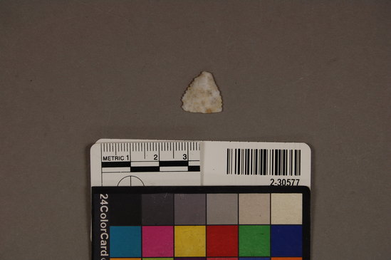 Hearst Museum object titled Flake, accession number 2-30577, described as Small opal flake with serrated edges