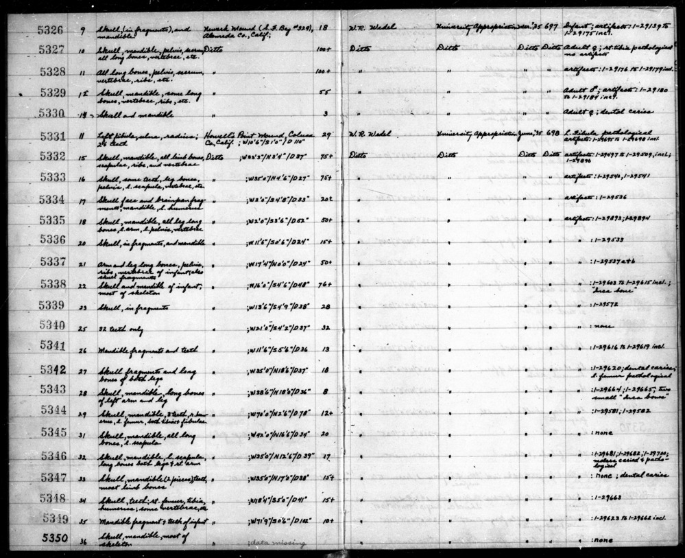 Documentation associated with Hearst Museum object titled Wood, accession number 12-5348.2, described as Wood fragment