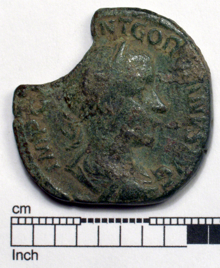 Hearst Museum object titled Coin: æ, accession number 8-5925, described as Coin: Æ; Gordianus.Pius - 14.80 grams.  Rome, 239 AD. Obverse: IMP C[AES MA]NT GORDIANVS AVG - Bust facing right, laureate, draped, cuirassed. Reverse: [PMT]R P I [I C]OS, SC - Victory advancing facing the right, holding wreath and palm.