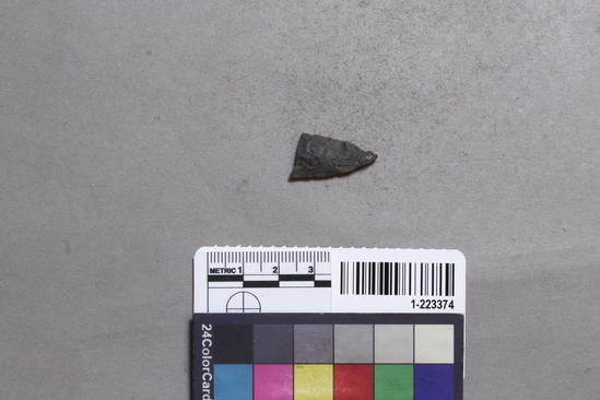 Hearst Museum object titled Projectile point, accession number 1-223374, described as basalt point fragment