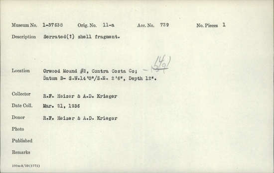 Documentation associated with Hearst Museum object titled Shell fragment, accession number 1-37638, described as Serrated (?).