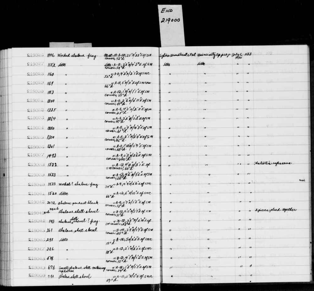 Documentation associated with Hearst Museum object titled Shell fragment, accession number 1-219938, described as Worked.  Haliotis rufescens.