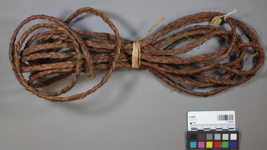 Hearst Museum object 3 of 4 titled Rope, accession number 2-19036, described as Reddish brown, braided. Of bark fiber. 3 strand braided cedar bark.