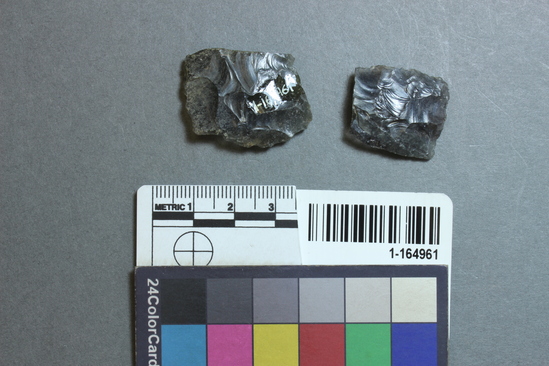 Hearst Museum object titled Projectile point fragments, accession number 1-164961, described as Obsidian midsections.