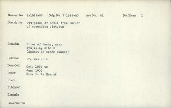 Documentation associated with Hearst Museum object titled Cut shell piece, accession number 4-1541, described as Cut piece of shell from border of Spondylus pictorum.