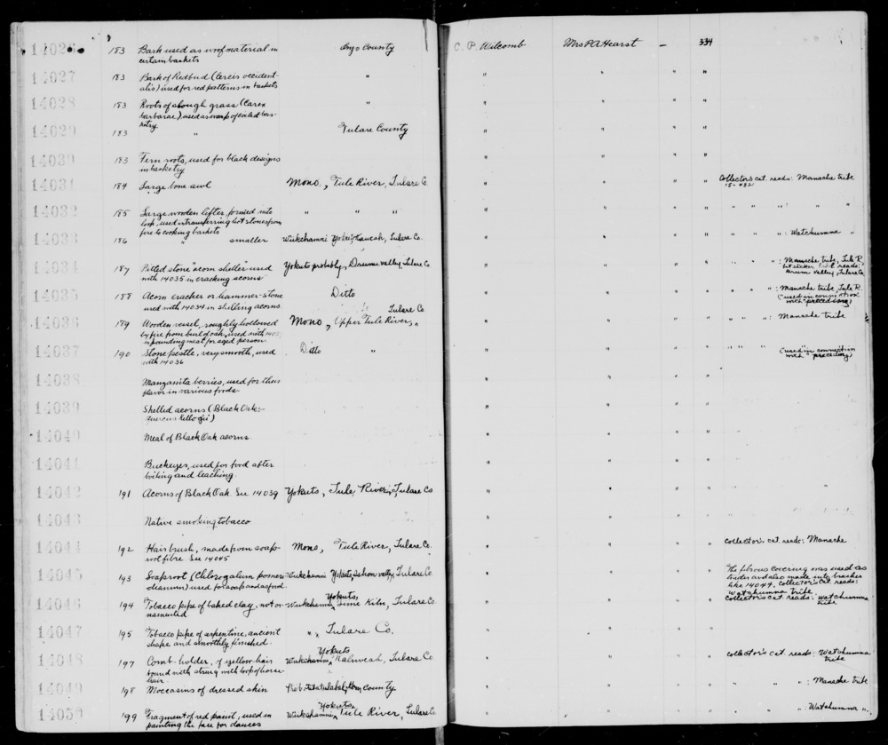 Documentation associated with Hearst Museum object titled Awl, accession number 1-14031, described as Large, bone.