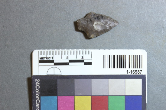 Hearst Museum object 25 of 28 titled Points, accession number 1-16987, described as Chipped points of flint, chert, etc.