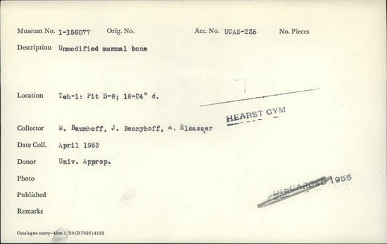 Documentation associated with Hearst Museum object titled Faunal remains, accession number 1-156077, described as Unmodified, mammal.