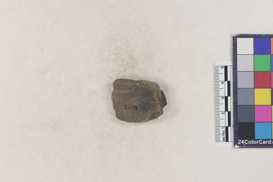 Hearst Museum object titled Potsherd, accession number 16-8113, described as Potsherd: rim with relief flutting