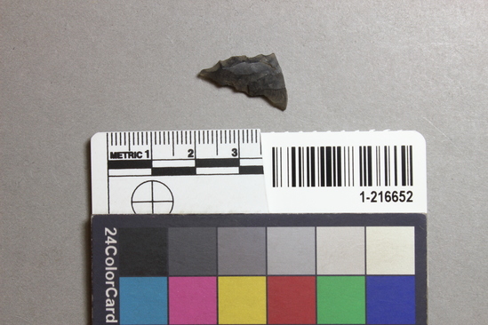 Hearst Museum object titled Drill fragment, accession number 1-216652, described as Obsidian.