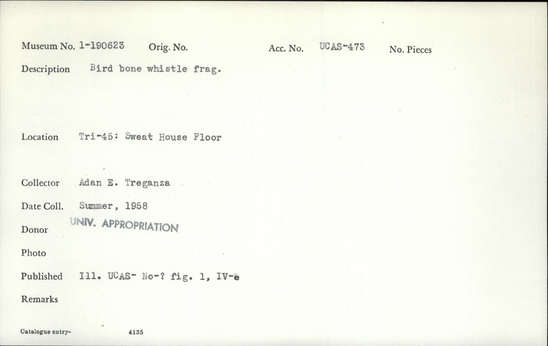 Documentation associated with Hearst Museum object titled Bead, accession number 1-190623, described as Bird bone whistle frag.