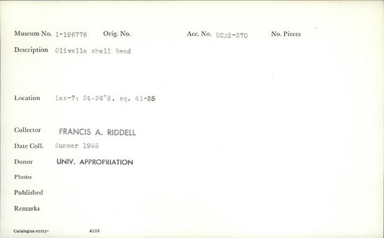 Documentation associated with Hearst Museum object titled Bead, accession number 1-196778, described as Olivella shell.