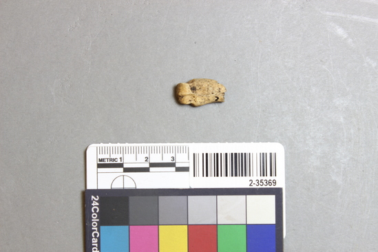 Hearst Museum object titled Mammal bone, accession number 2-35369, described as Sea otter metapodial