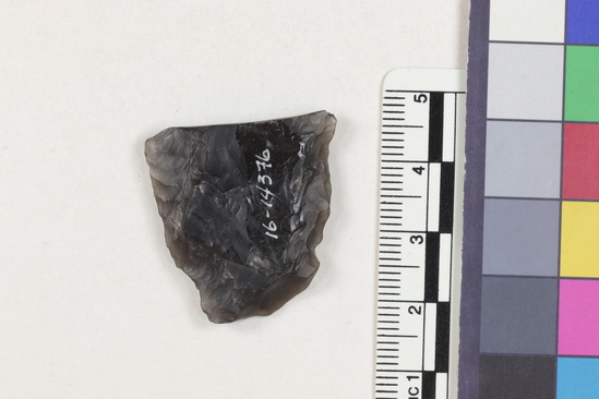 Hearst Museum object 1 of 2 titled Flake fragment, accession number 16-14376, described as Projectile point fragment; obsidian; triangular; weight: 5.87 grams; length: 2.86 cm; width: 2.78 cm; depth: 0.6 cm.