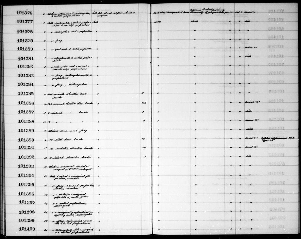 Documentation associated with Hearst Museum object titled Beads, accession number 1-101392, described as Halved olivella. Notice: Image restricted due to its potentially sensitive nature. Contact Museum to request access.