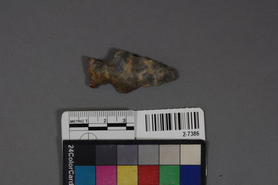 Hearst Museum object titled Projectile point, accession number 2-7386, described as Arrow point.