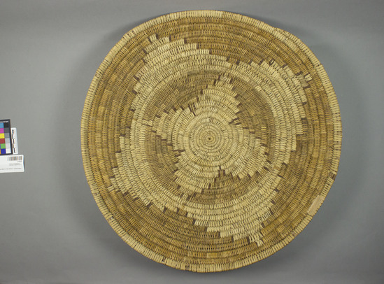 Hearst Museum object 2 of 3 titled Basket, accession number 2-34339, described as Coiled, shallow, bowl shaped.