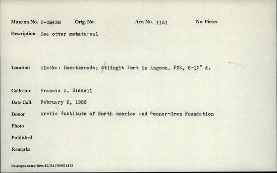 Documentation associated with Hearst Museum object titled Mammal bone, accession number 2-35436, described as Sea otter metatarsal