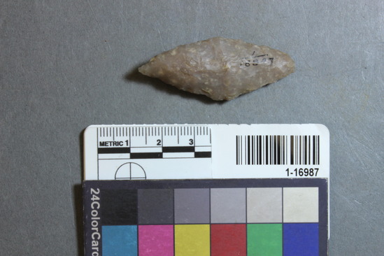 Hearst Museum object 7 of 28 titled Points, accession number 1-16987, described as Chipped points of flint, chert, etc.