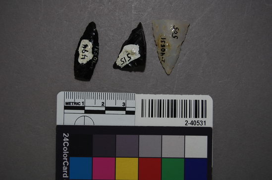 Hearst Museum object titled Point, accession number 2-40531, described as 2 obsidian points, 1 chert point tip