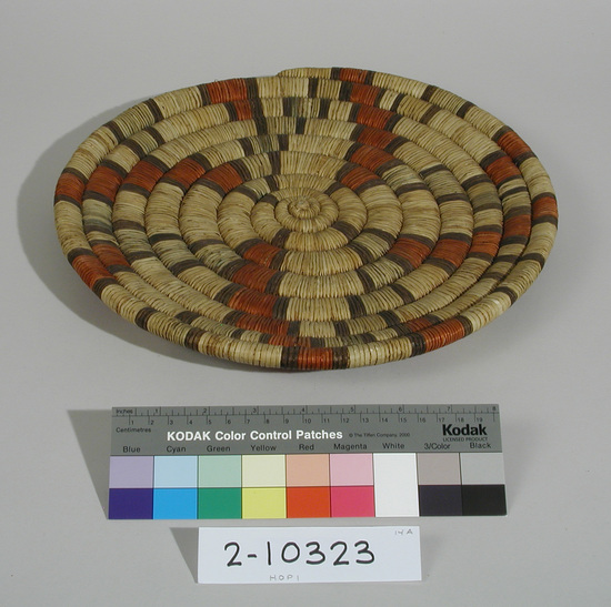 Hearst Museum object titled Basketry plaque, accession number 2-10323, described as Basketry plaque.  Coiled.  Red, green, and black dyes made of yucca fiber.  4 pointed star emanates from middle and is pendant from rim; solid cream band in black; slightly slopes up toward rim; green is fading.  No hanging loop.