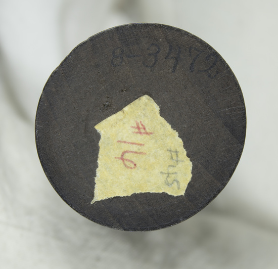 Hearst Museum object 4 of 19 titled Statue fragment, accession number 8-3472, described as Cast bronze fragment of male forehead preserving locks of hair