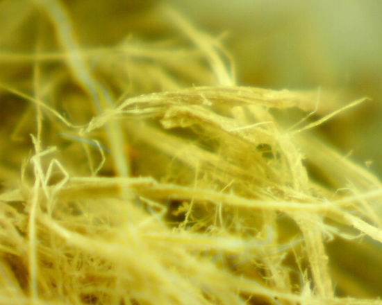 Hearst Museum object 18 of 42 titled Sling, accession number 4-4245a, no description available.