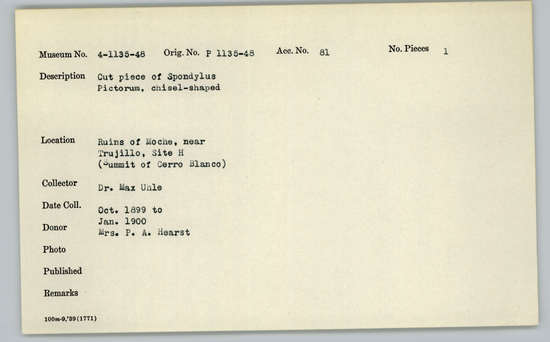 Documentation associated with Hearst Museum object titled Worked shell, accession number 4-1135, described as Cut piece of Spondylus pictorum, chisel-shaped.