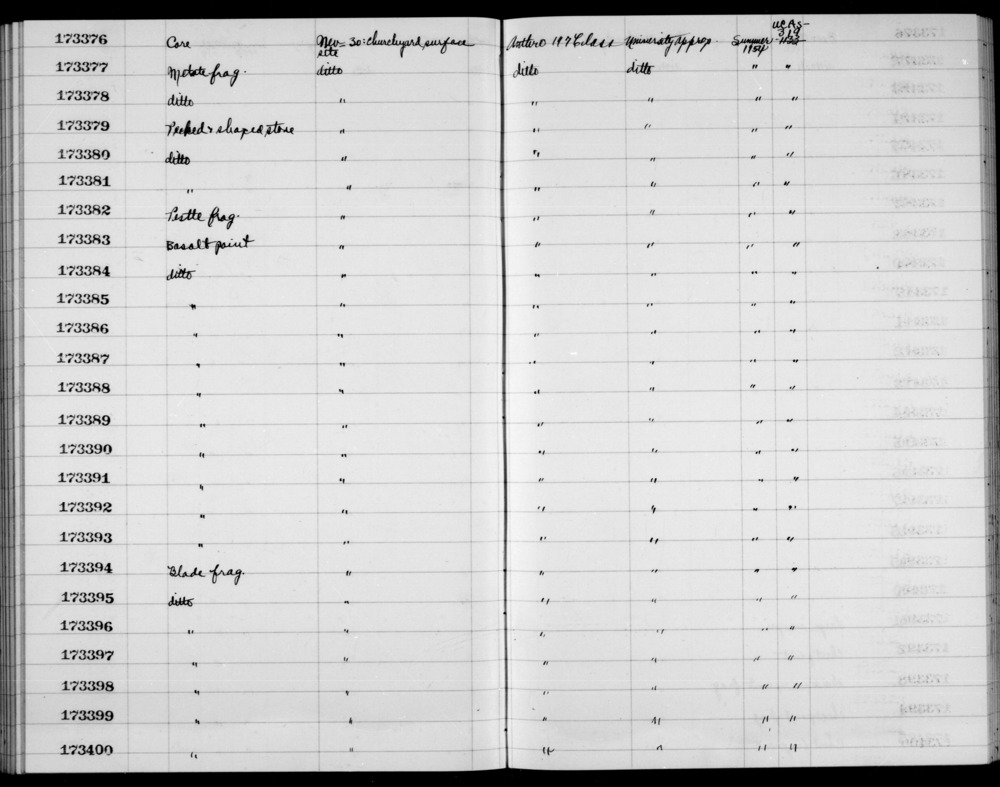 Documentation associated with Hearst Museum object titled Blade, accession number 1-173396, described as Blade fragment.