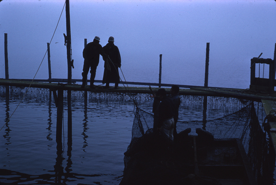 Hearst Museum object titled Color slide, accession number 25-6255, no description available.