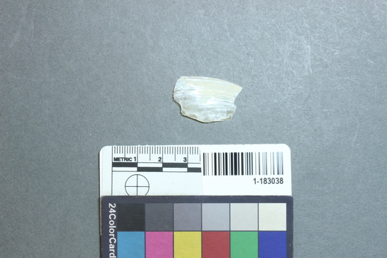 Hearst Museum object titled Shell fragment, accession number 1-183038, described as Freshwater mussel.