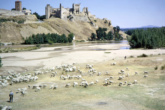 Hearst Museum object titled Color slide, accession number 25-20550, described as 35mm color transparency slide: Spanish Agriculture. Spain: Escalona South West of Madrid.