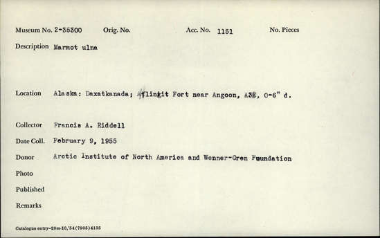 Documentation associated with Hearst Museum object titled Mammal bone, accession number 2-35300, described as Marmot ulna