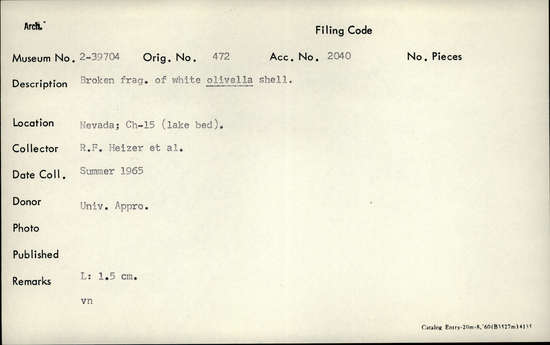 Documentation associated with Hearst Museum object titled Shell fragment, accession number 2-39704, described as Shell fragment; broken, of white olivella.