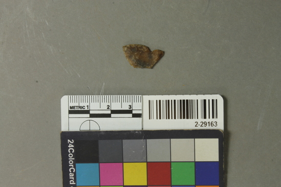 Hearst Museum object titled Projectile point, accession number 2-29163, described as Arrowpoint fragment, Moss agate